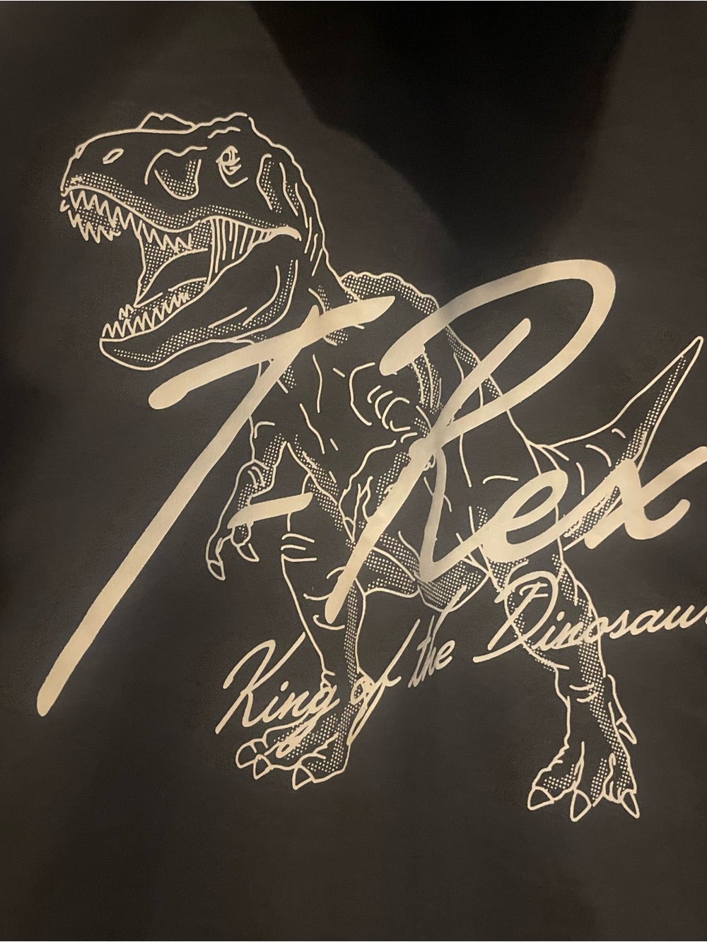 Dinosaur jacket with Dino Hood  with Trex Logo dress up size 7